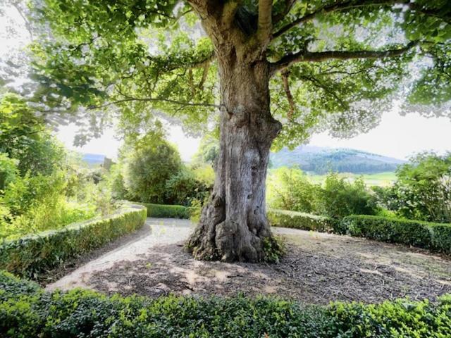 Ghan House Carlingford Esterno foto